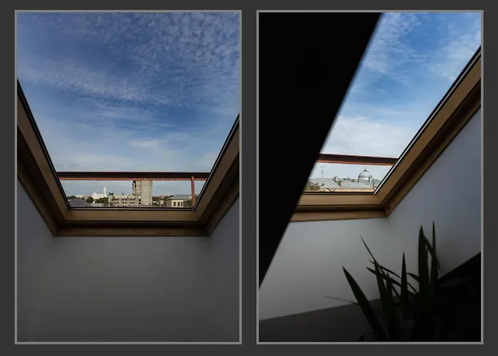 Misko * Каунас