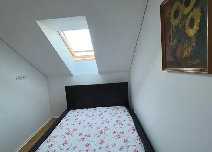 Апартаменты Misko *